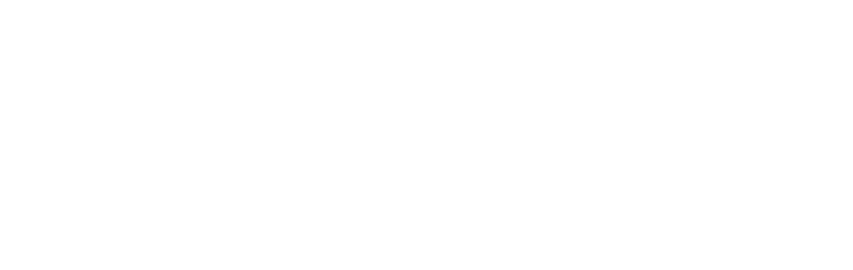 Southern Imaginations